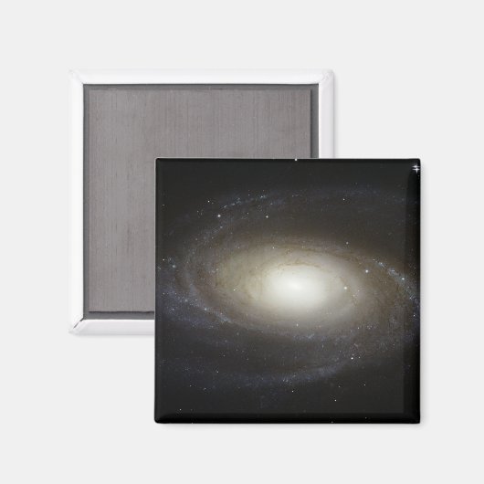 Spiral Galaxy M81 Magneet (Voorkant / Achterkant)