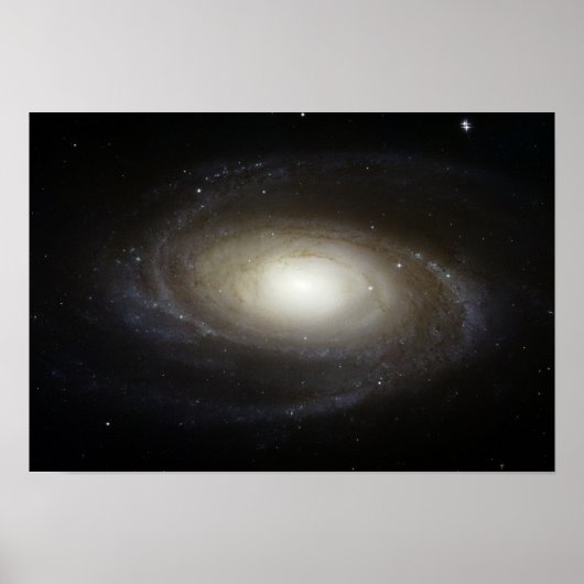 Spiral Galaxy M81 Poster (Voorkant)