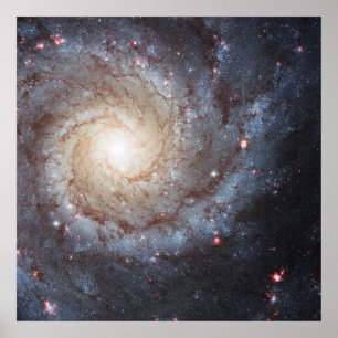 Spiral Galaxy Messier 74 (M74) NGC 628 Hubble Poster