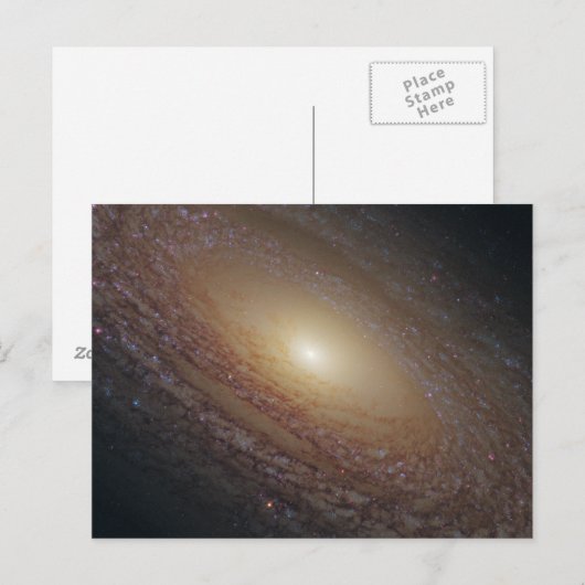 Spiral Galaxy NGC 2841 Briefkaart (Voorkant / Achterkant)