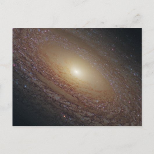 Spiral Galaxy NGC 2841 Briefkaart (Voorkant)
