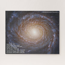 Spiral galaxy NGC 3147 Jigzaag Puzzle