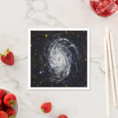 Spiral Galaxy Servetten (Insitu)