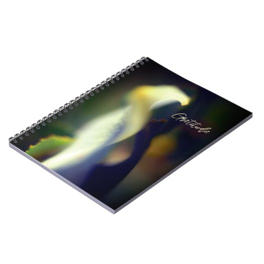 Spiral Gratitude Journal Notitieboek (Linkerzijde)