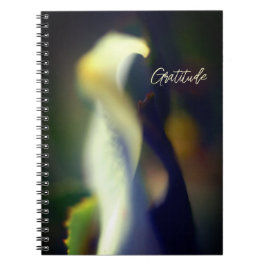 Spiral Gratitude Journal Notitieboek