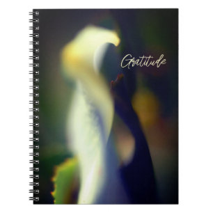 Spiral Gratitude Journal Notitieboek