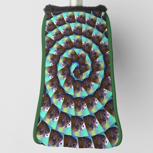 Spiral Guinea Pig Pattern, Golfheadcover (Draai 90)