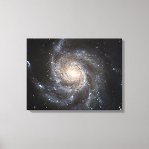 Spiral Messier 101 Canvas Afdruk