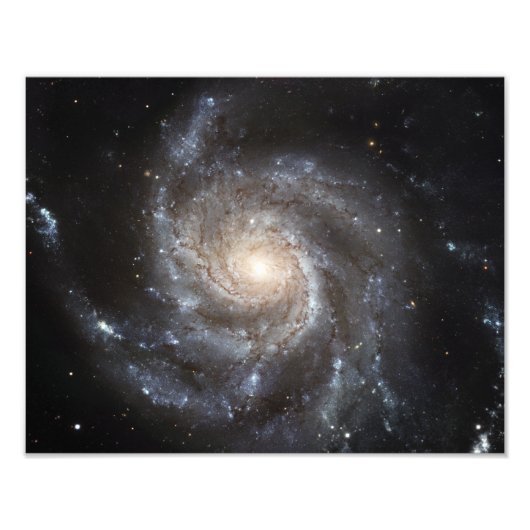 Spiral Messier 101 Foto Afdruk (Voorkant)