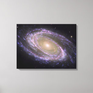 Spiral Messier 81 Canvas Afdruk