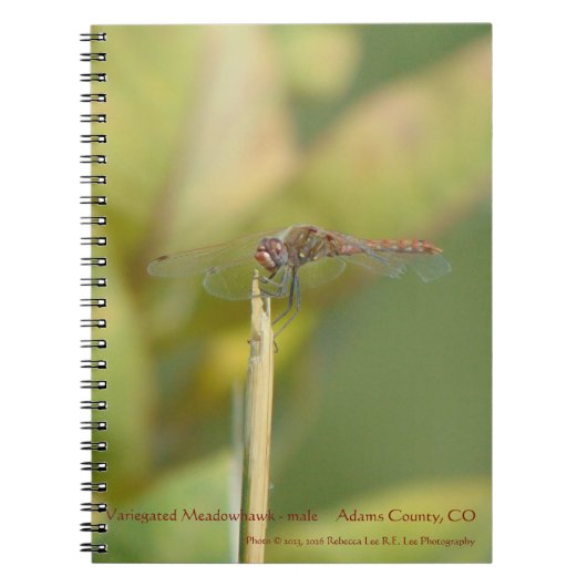 Spiral Notebook met Libel Foto Notitieboek (Voorkant)
