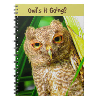 Spiral notebook Owl's it Going Notitieboek