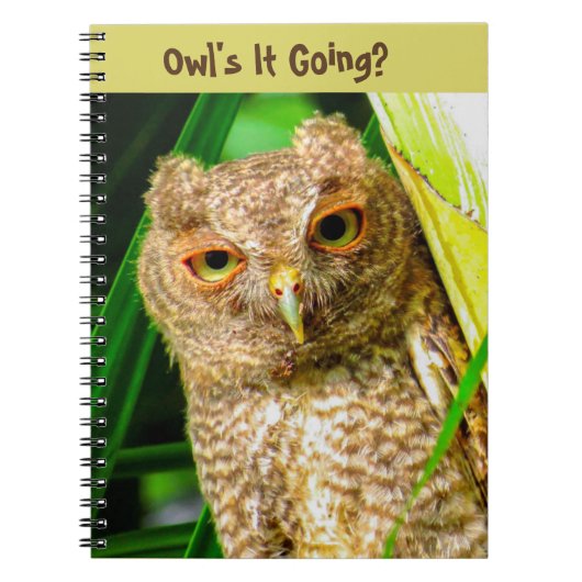 Spiral notebook Owl's it Going Notitieboek (Voorkant)