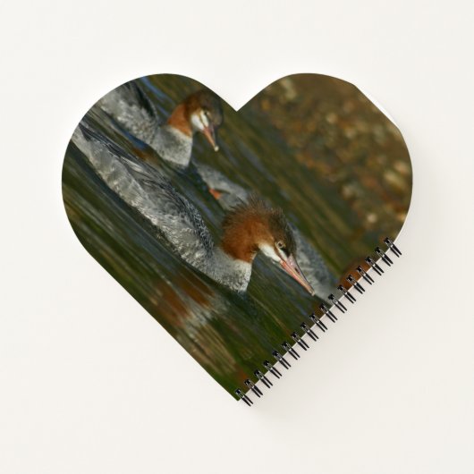 Spiral Notitieboek (Achterkant)