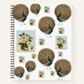 Spiral Notitieboek Peacock (Voorkant)