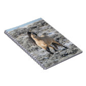 Spiral Notitieboek w/ Wicahpi Hinhpaya (Rechterzijde)