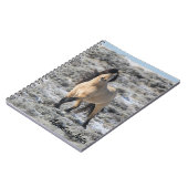 Spiral Notitieboek w/ Wicahpi Hinhpaya (Linkerzijde)