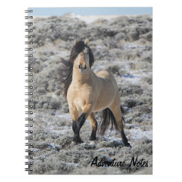 Spiral Notitieboek w/ Wicahpi Hinhpaya