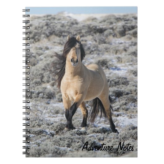 Spiral Notitieboek w/ Wicahpi Hinhpaya (Voorkant)