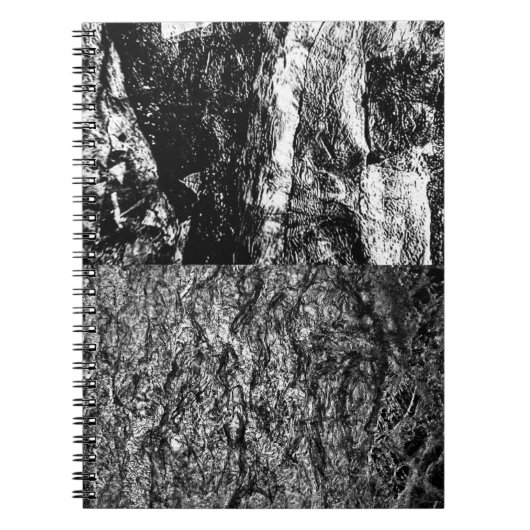 Spiral Photo Notitieboek (Voorkant)