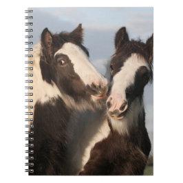 Spiral Photo Notitieboek