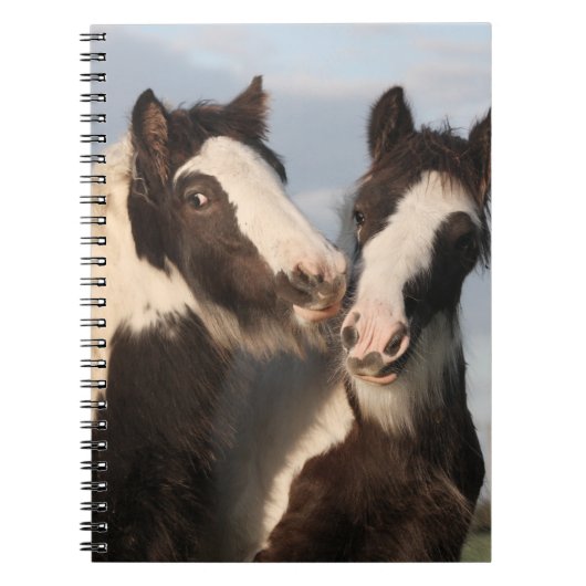 Spiral Photo Notitieboek (Voorkant)