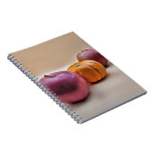 Spiral Photo Notitieboek (Rechterzijde)