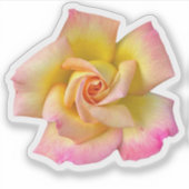 Spiral Pink Yellow Peace Roos Sticker (Voorkant)
