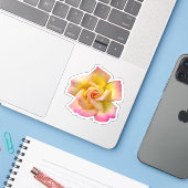 Spiral Pink Yellow Peace Roos Sticker (Laptop met iPhone)