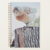 Spiral Planner - Its a Stumped Day (Voorkant)