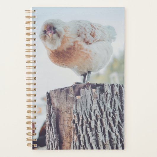 Spiral Planner - Its a Stumped Day (Voorkant)