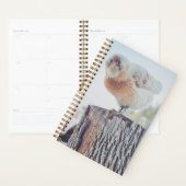 Spiral Planner - Its a Stumped Day (Display)