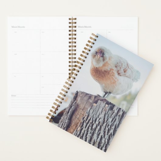 Spiral Planner - Its a Stumped Day (Display)