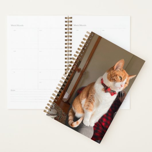 Spiral Planner Terrier Dog  (Display)