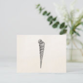  Spiral Seashell Antiek Shells Parchment Briefkaart (Staand voorkant)