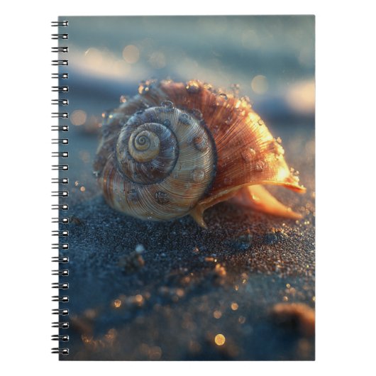 Spiral Seashell Golden Light Notitieboek (Voorkant)