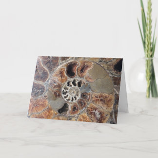 Spiral Shell Fossil Blank Wenskaart Kaart