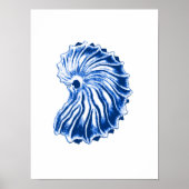 Spiral Shell, Indigo Blue en White Poster (Voorkant)