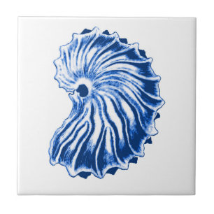 Spiral Shell, Indigo Blue en White Tegeltje