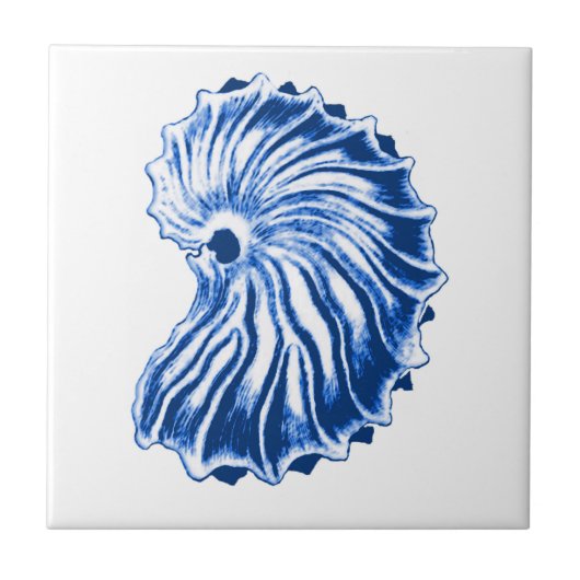Spiral Shell, Indigo Blue en White Tegeltje (Voorkant)