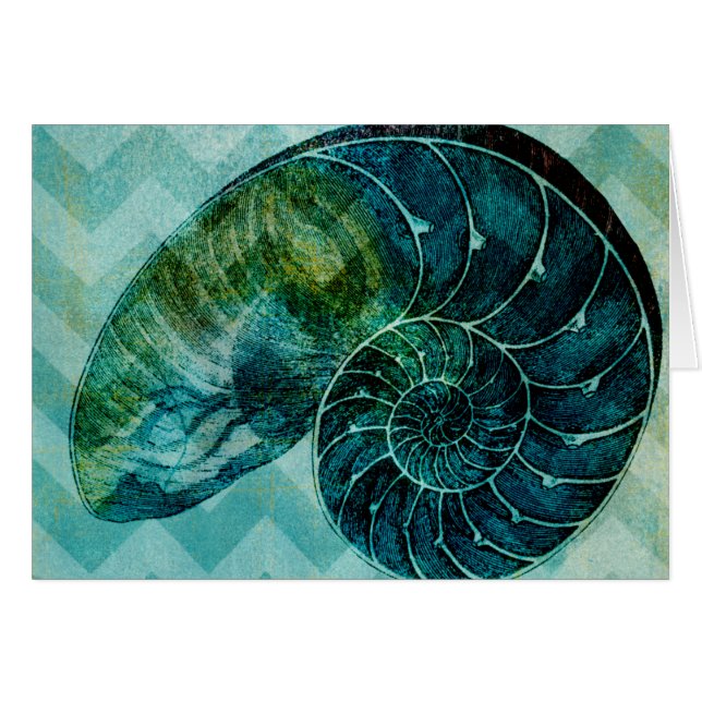 Spiral Turquoise Conch Shell (Voorkant Horizontaal)