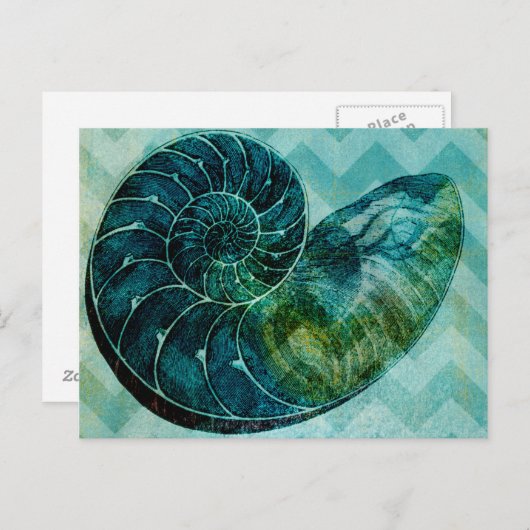 Spiral Turquoise Conch Shell Briefkaart (Voorkant / Achterkant)
