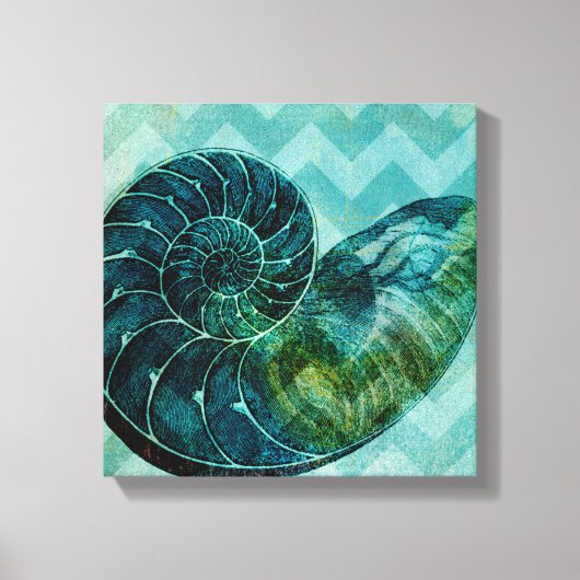 Spiral Turquoise Conch Shell Canvas Afdruk (Voorkant)