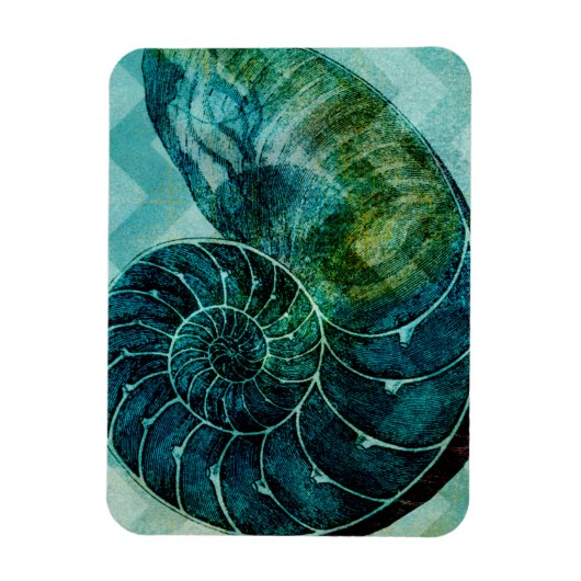Spiral Turquoise Conch Shell Magneet (Verticaal)