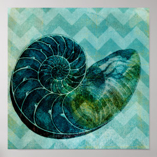 Spiral Turquoise Conch Shell Poster