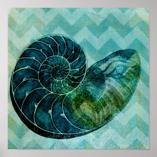 Spiral Turquoise Conch Shell Poster (Voorkant)