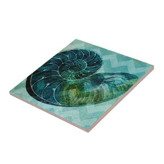 Spiral Turquoise Conch Shell Tegeltje (Zijkant)