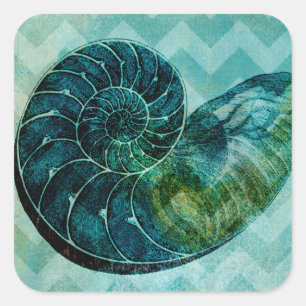 Spiral Turquoise Conch Shell Vierkante Sticker
