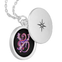 Spiral Unicorn Dragon Yin Yang Locket Ketting