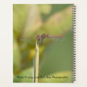 Spiralgebonden planner met libelfoto (Achterkant)